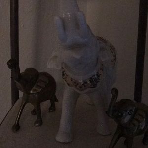 Meet your Posher, Joann